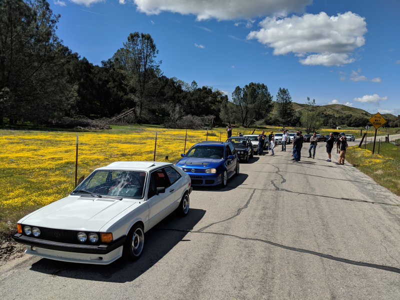 Illustration for article titled Drive Report: Targa 805 Rally